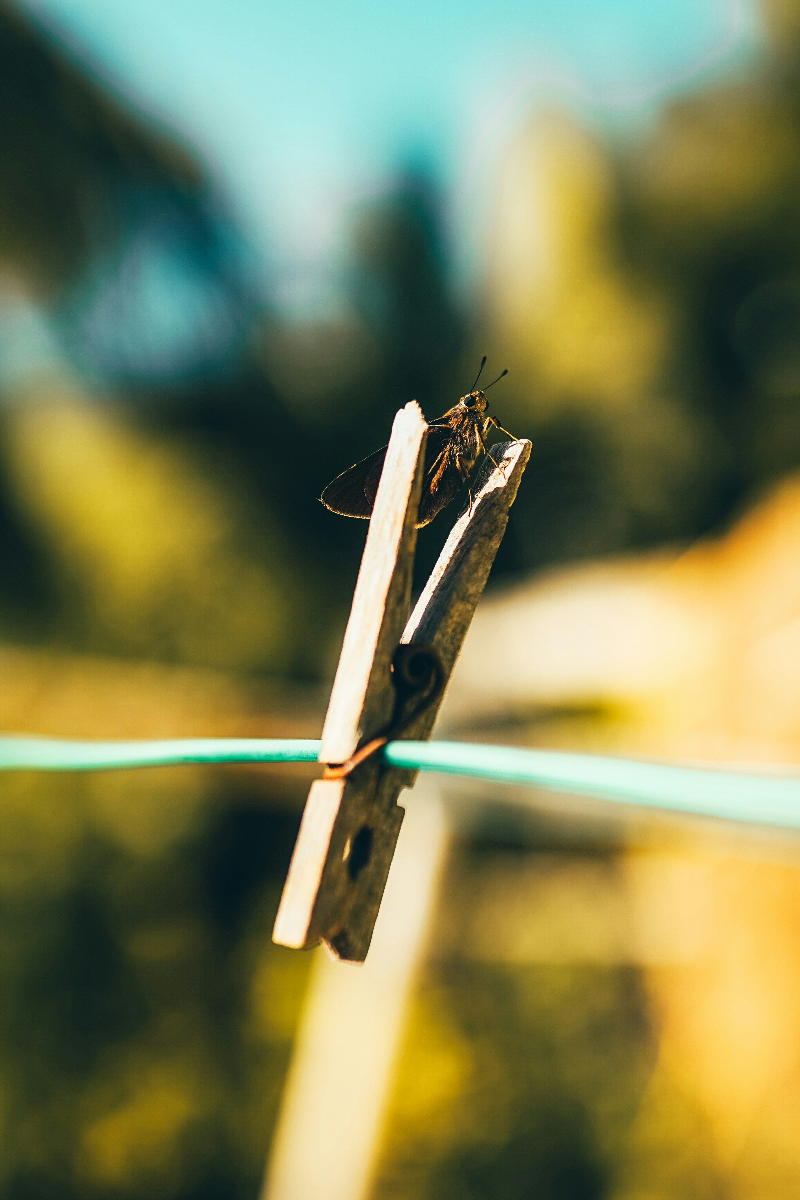 Photo by sherardcampy