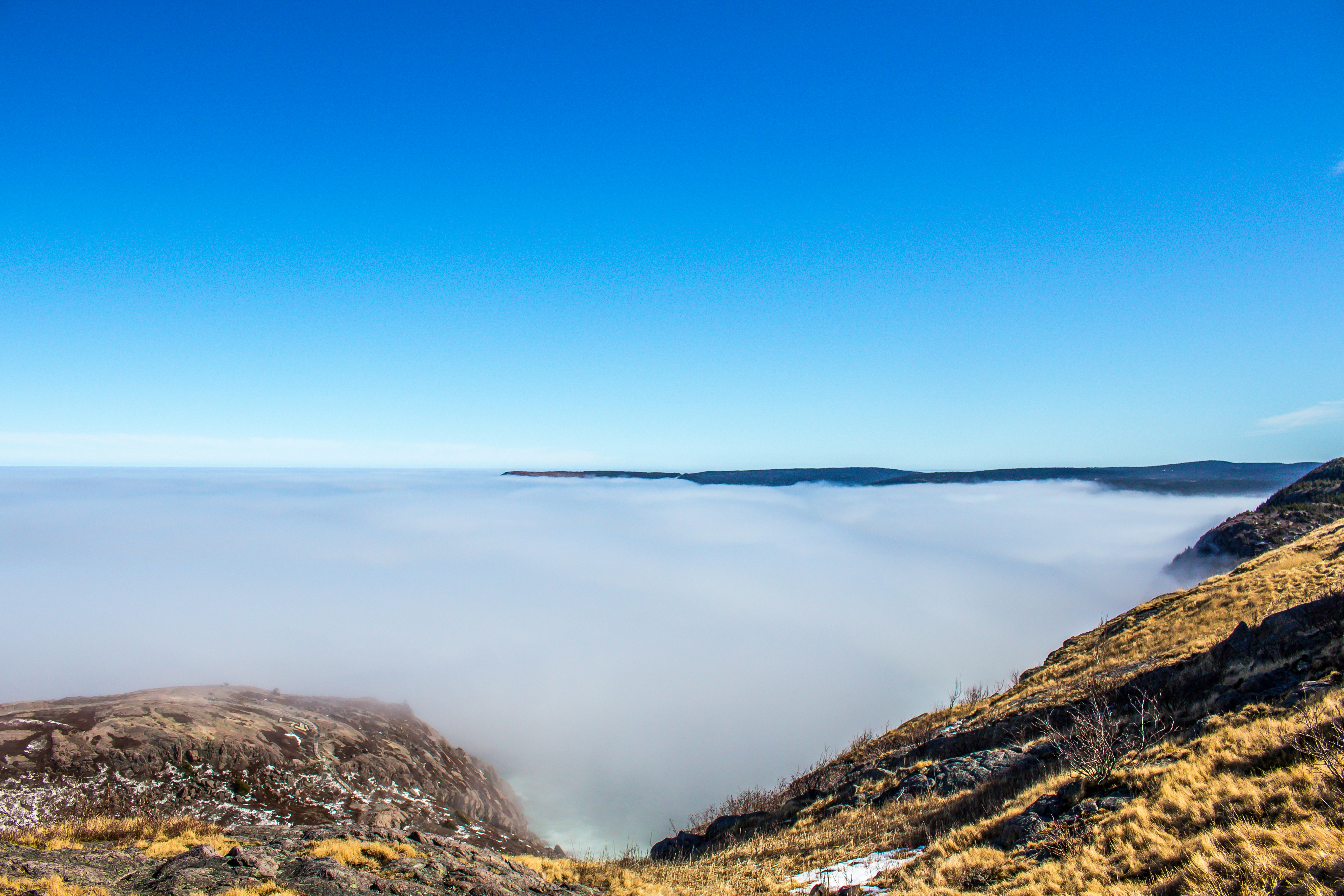The 4 greenest hotels in St. John's
