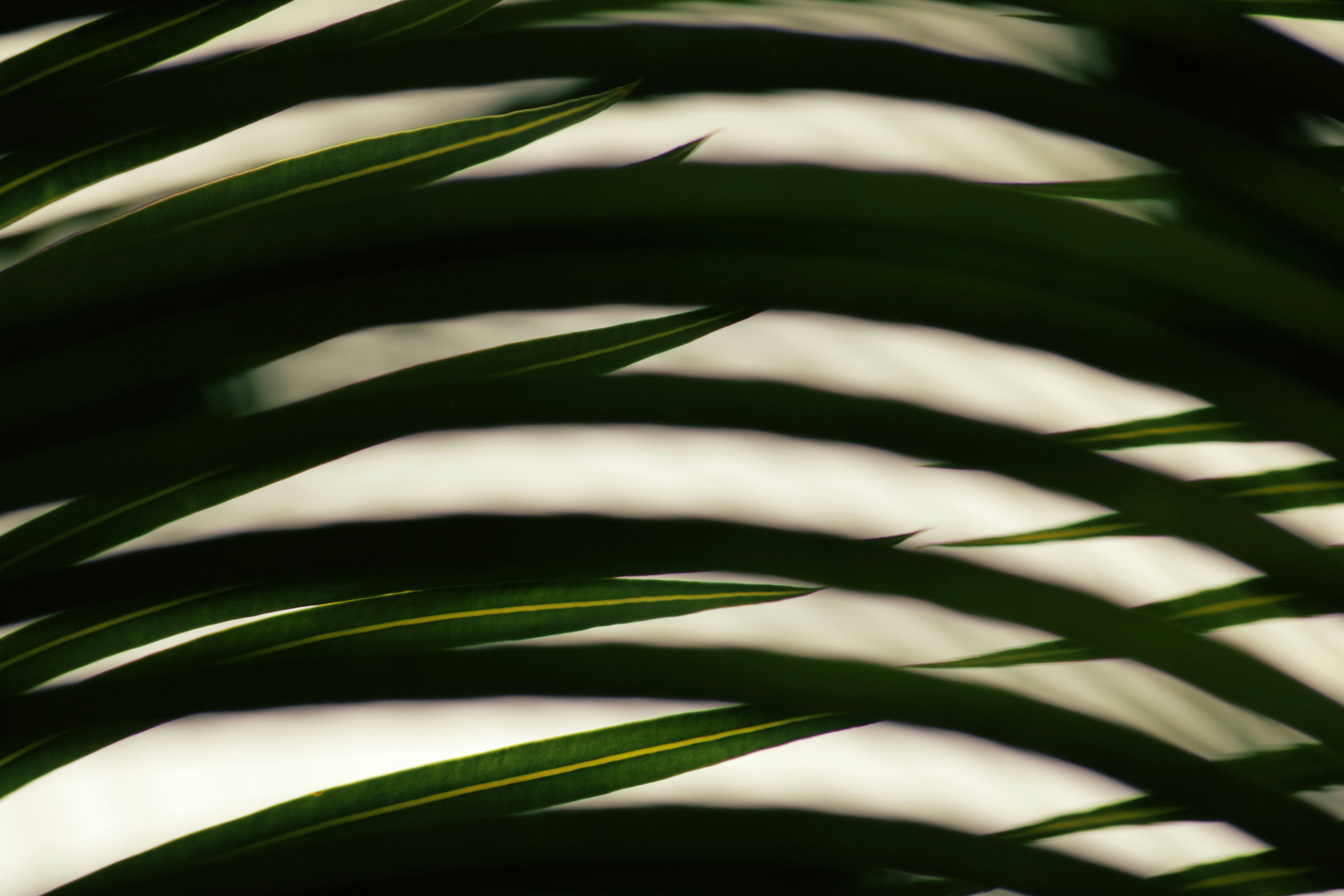 Photo by picsbyjameslee