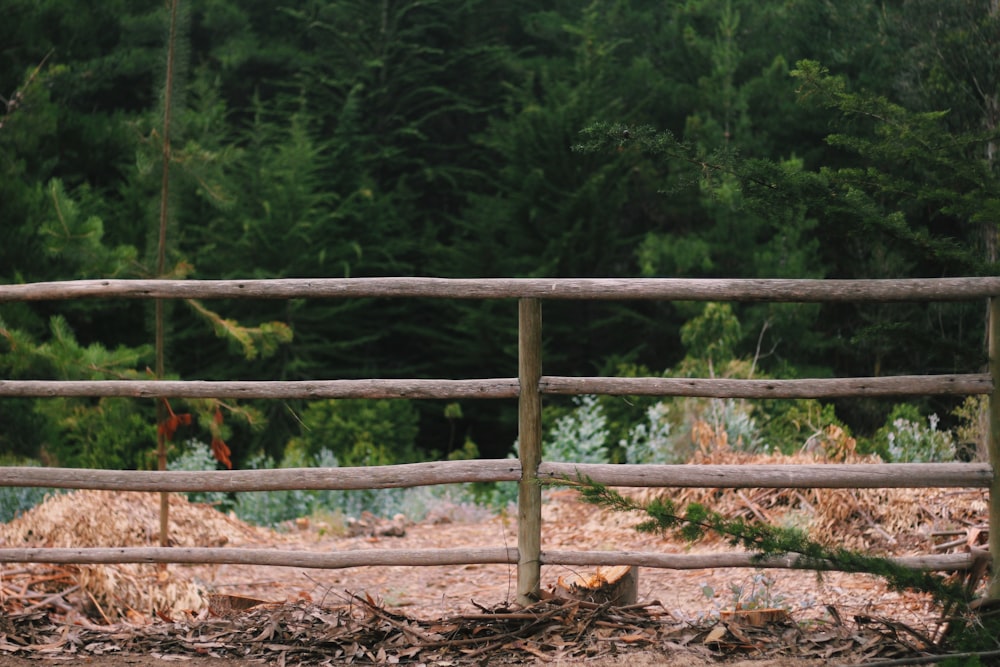 brown wooden fence near green trees during daytime