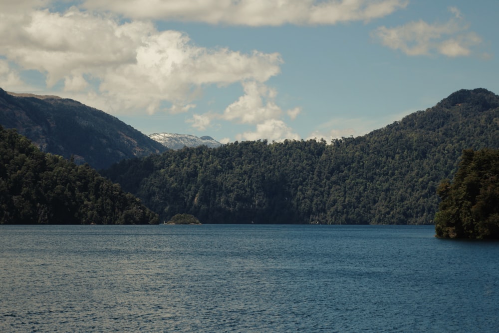 árboles verdes en la montaña cerca del cuerpo de agua durante el día