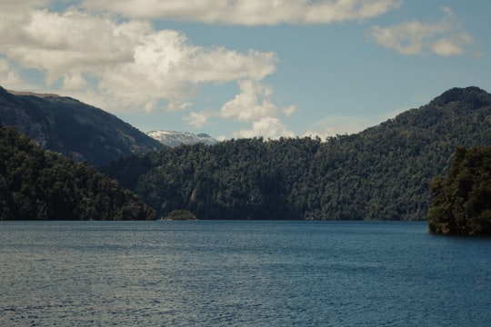 green trees on mountain near body of water during daytime in Panguipulli Chile