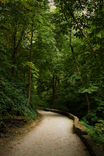 A serene forest path showcasing lush green foliage blending harmoniously with natural ceramic tiles.