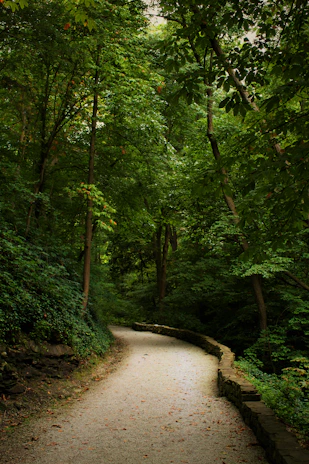 A serene forest path showcasing lush green foliage blending harmoniously with natural ceramic tiles.
