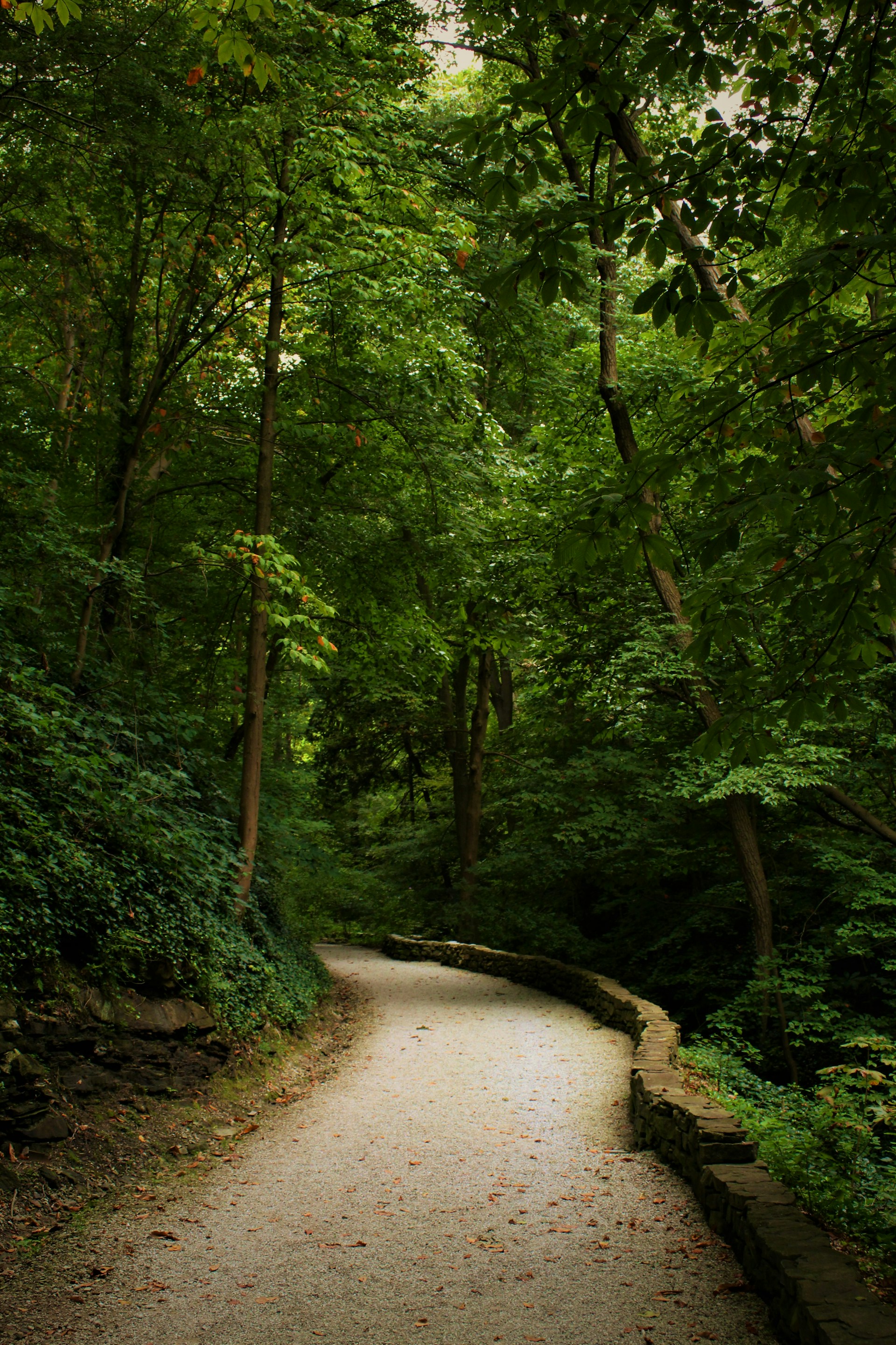 woman wearing yellow long-sleeved dress under white clouds and blue sky during daytime
