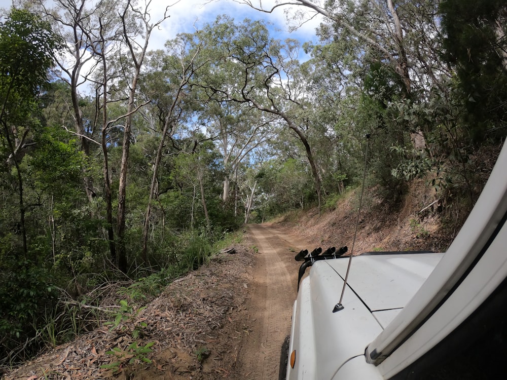 white car on dirt road during daytime