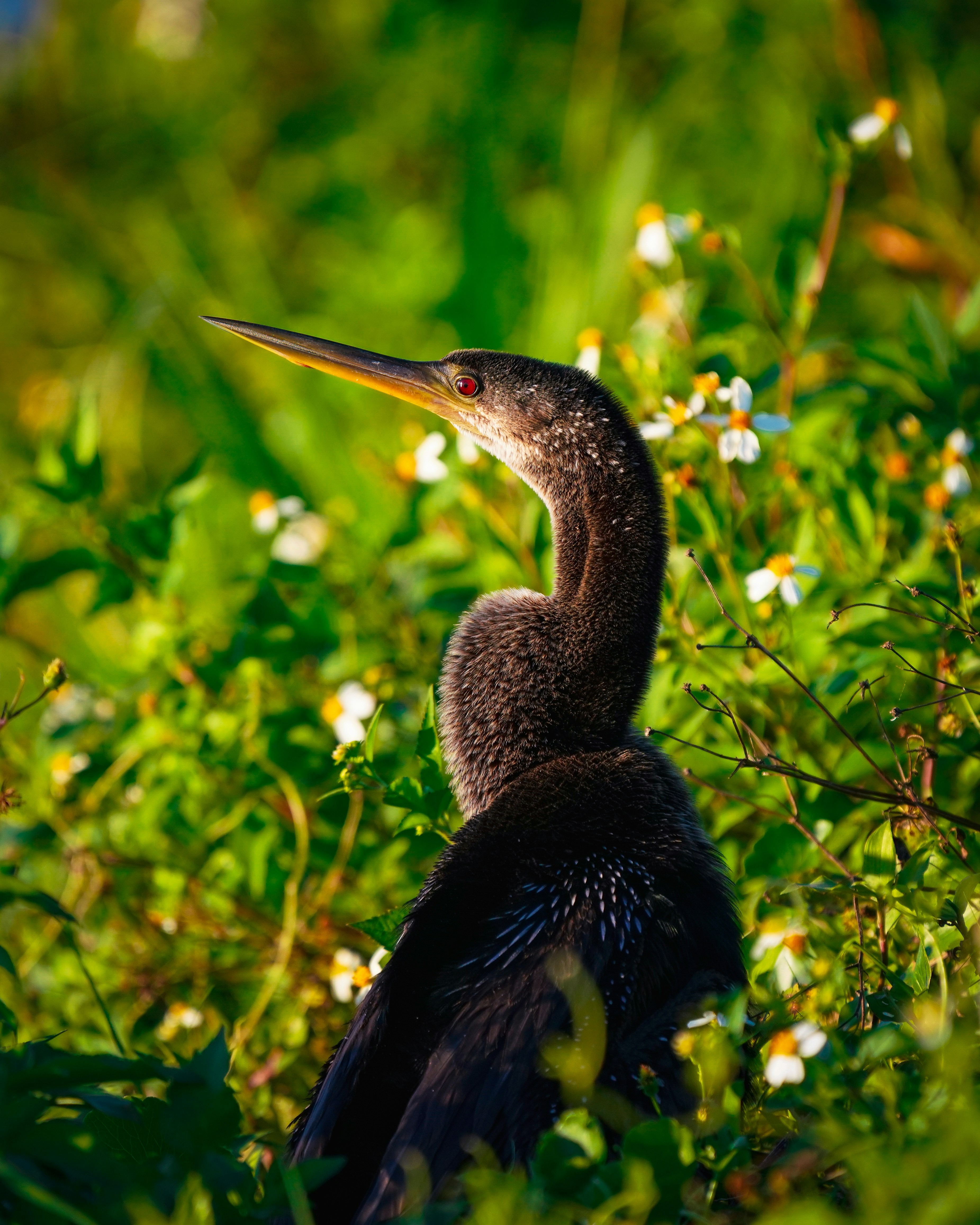 Photo by joshddurham