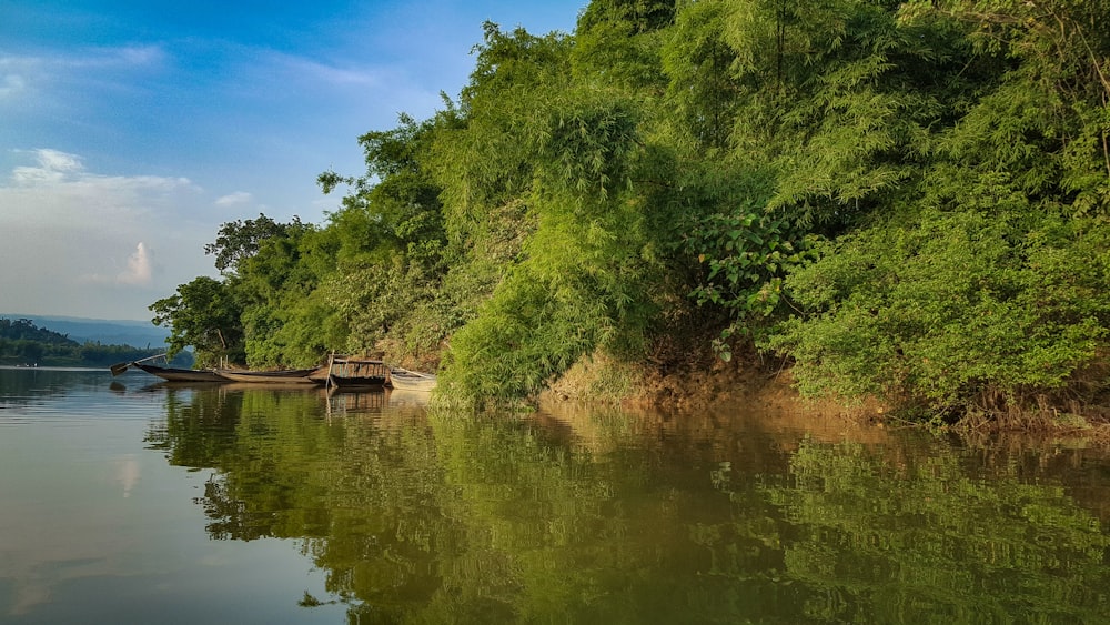 Muelle de madera marrón en el lago rodeado de árboles verdes durante el día