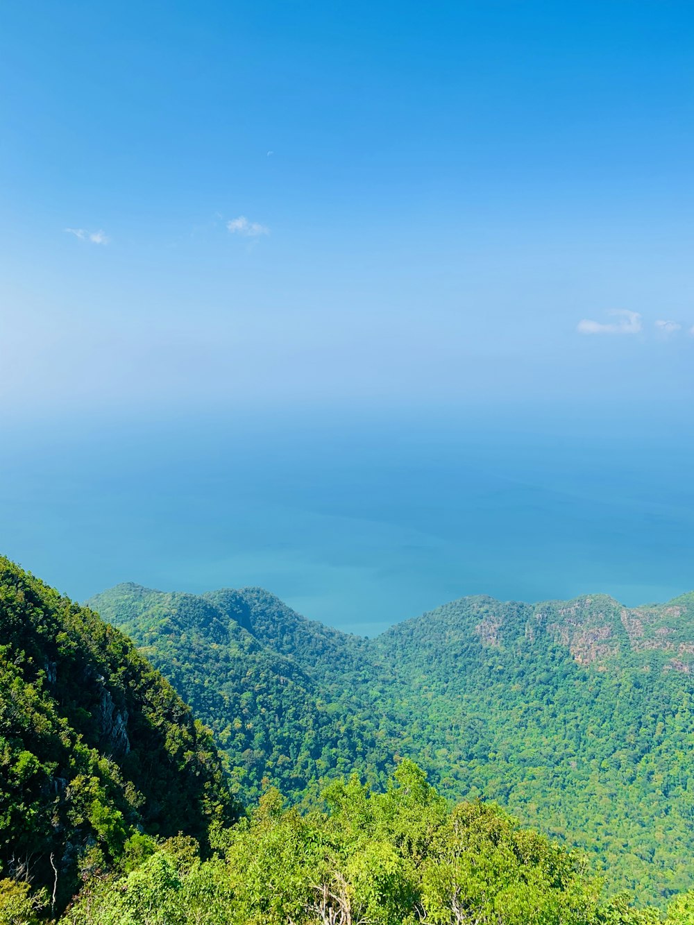 green trees on mountain under blue sky during daytime