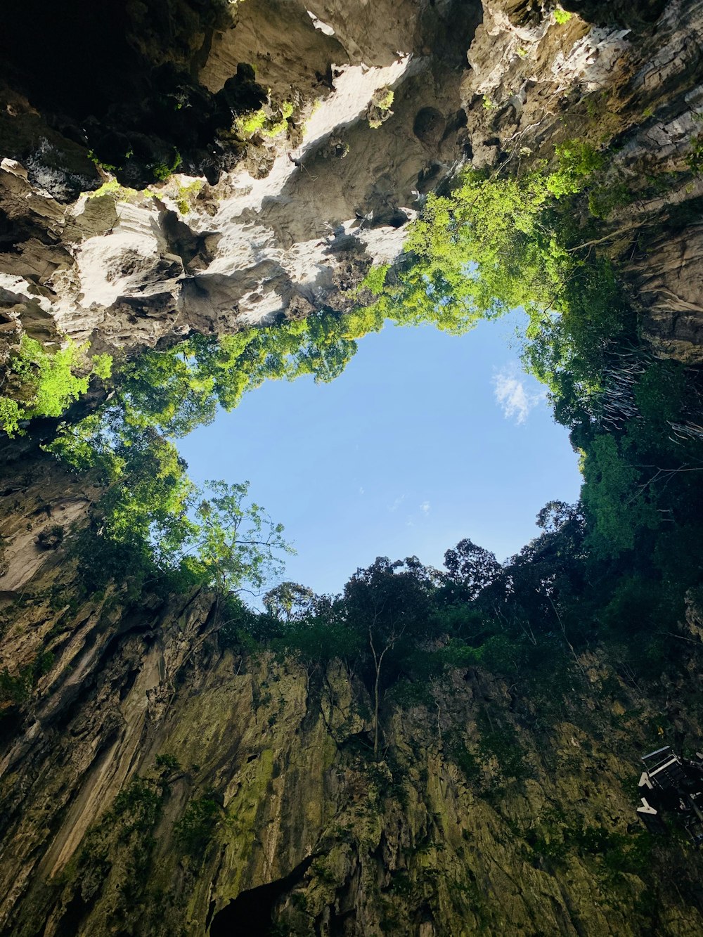 green trees on rocky mountain during daytime