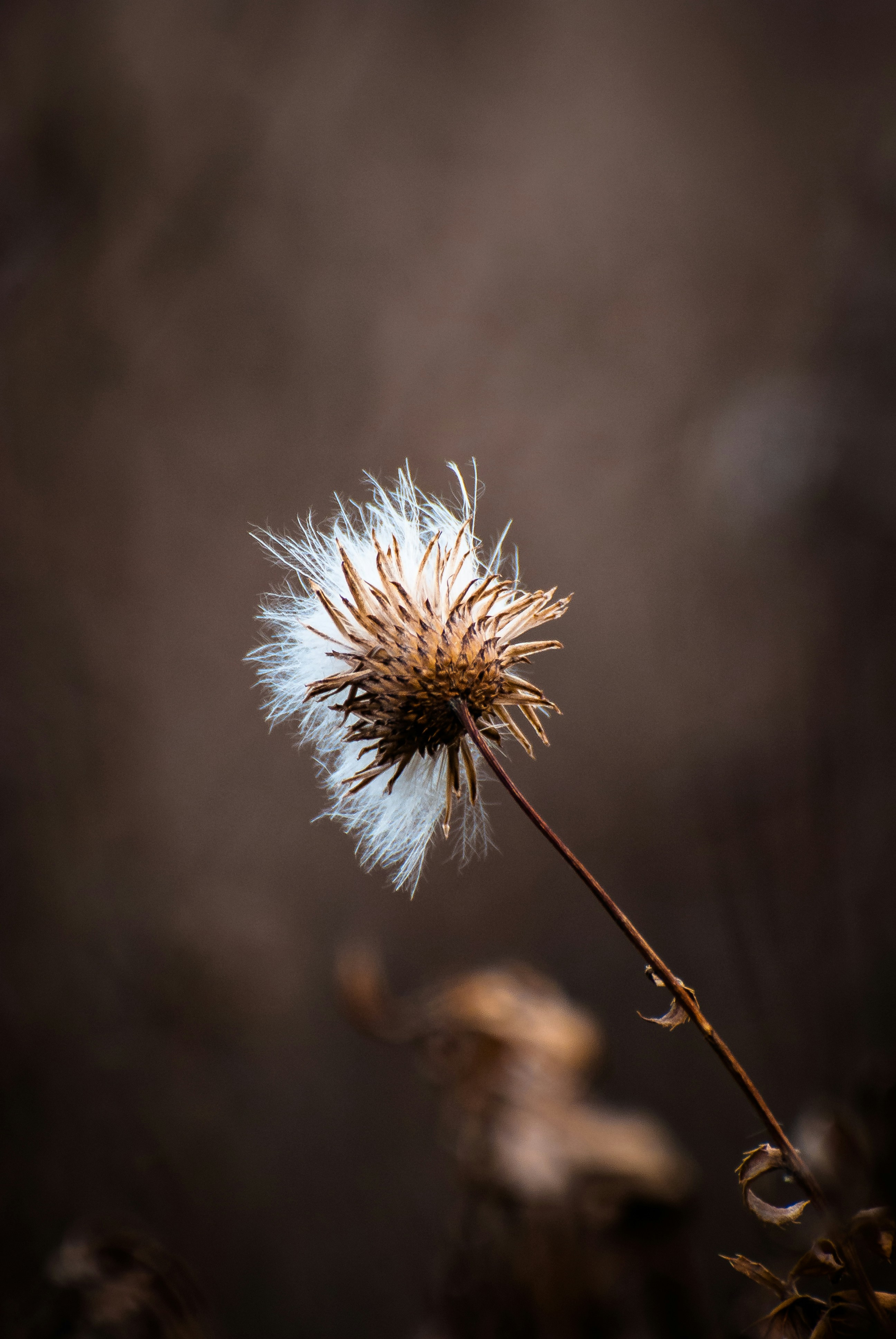 Photo by nastia77764