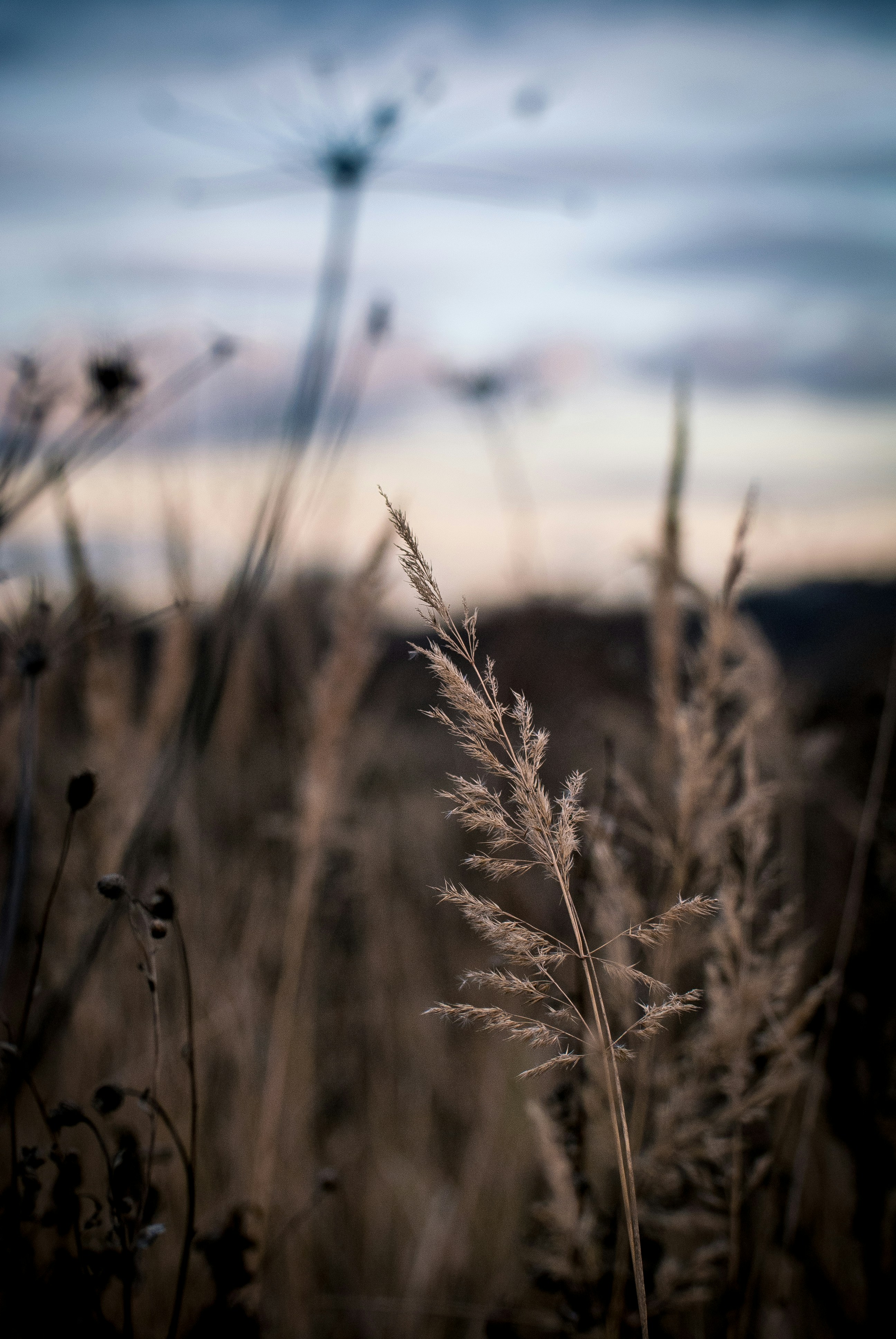 Photo by nastia77764