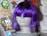 A mannequin head displays a vibrant purple wig with bangs covering the eyes. The background contains an assortment of items including a crown emblem, a floral pattern featuring a rose, and a cartoon character badge.