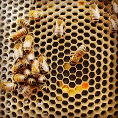 brown and black bee on yellow metal fence