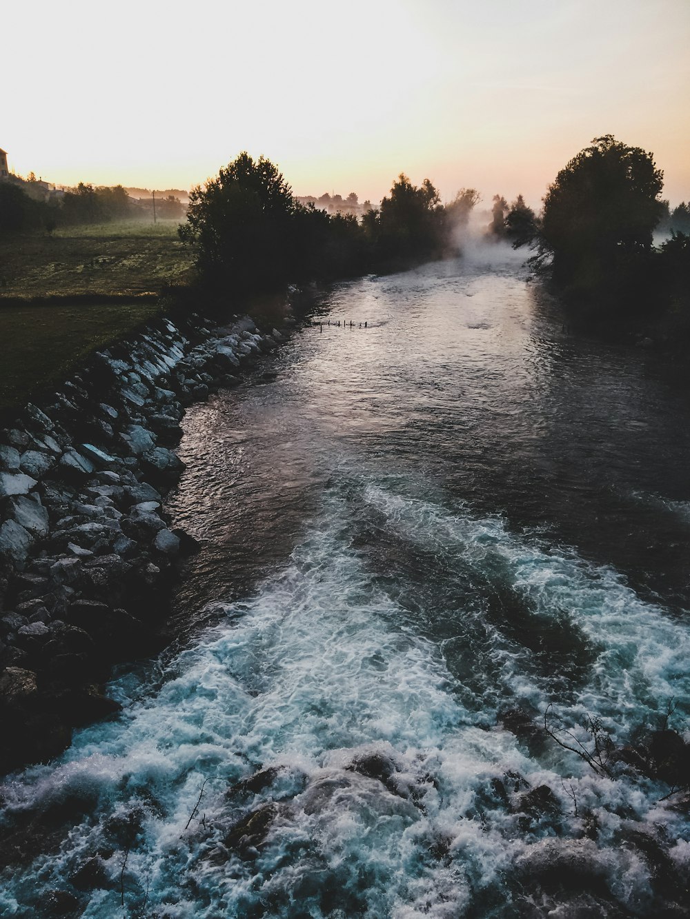 body of water near trees during daytime