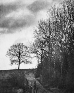 A moody black-and-white photograph capturing rural landscapes with a haunting, ethereal glow.