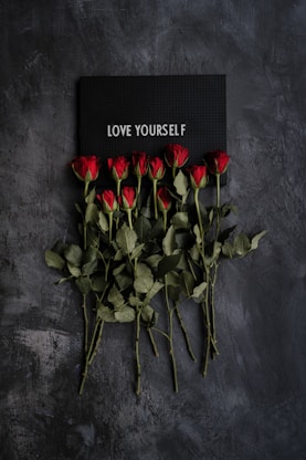 red rose on gray textile