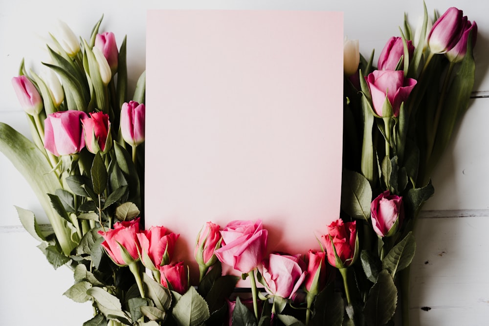 pink and white tulips in white vase