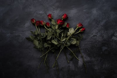 red and green leaves on gray textile roses google meet background