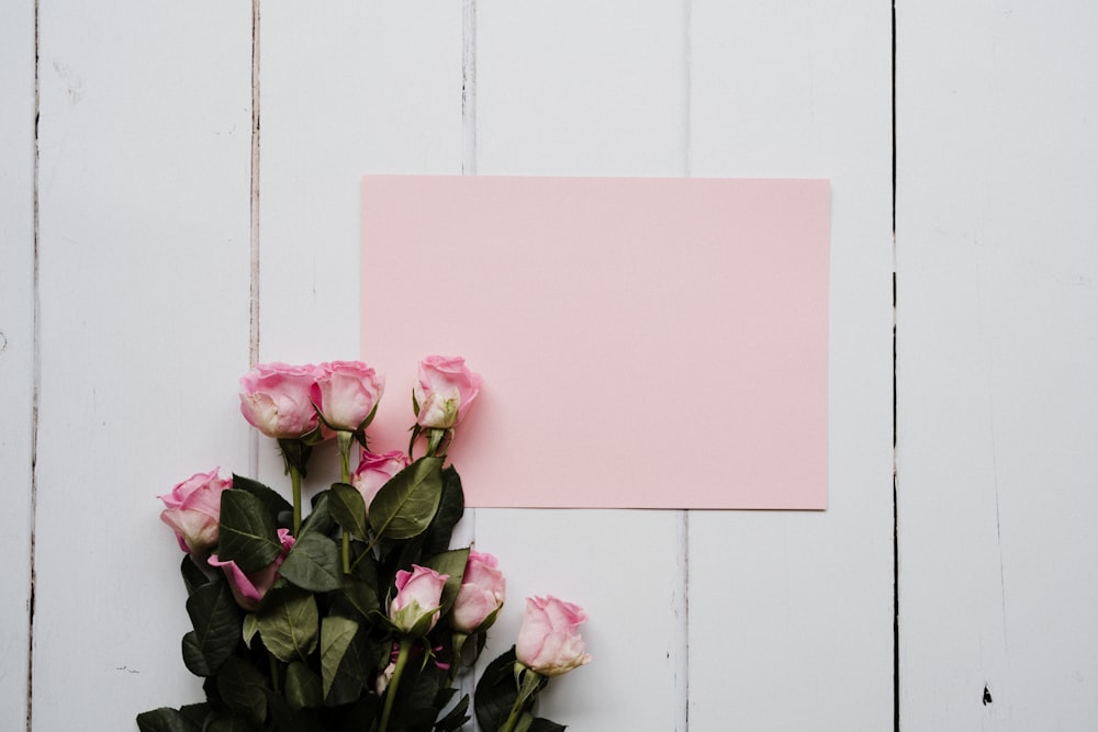 白い木製の壁にピンクのバラの花束