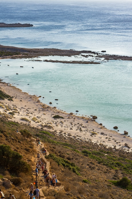 people on beach during daytime