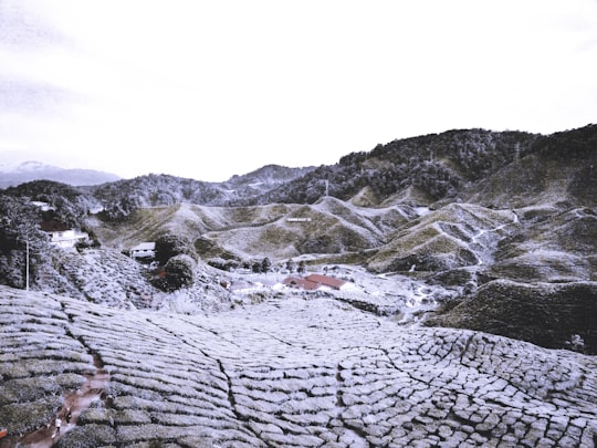 gray rocky mountain under white sky during daytime in Cameron Highlands Malaysia