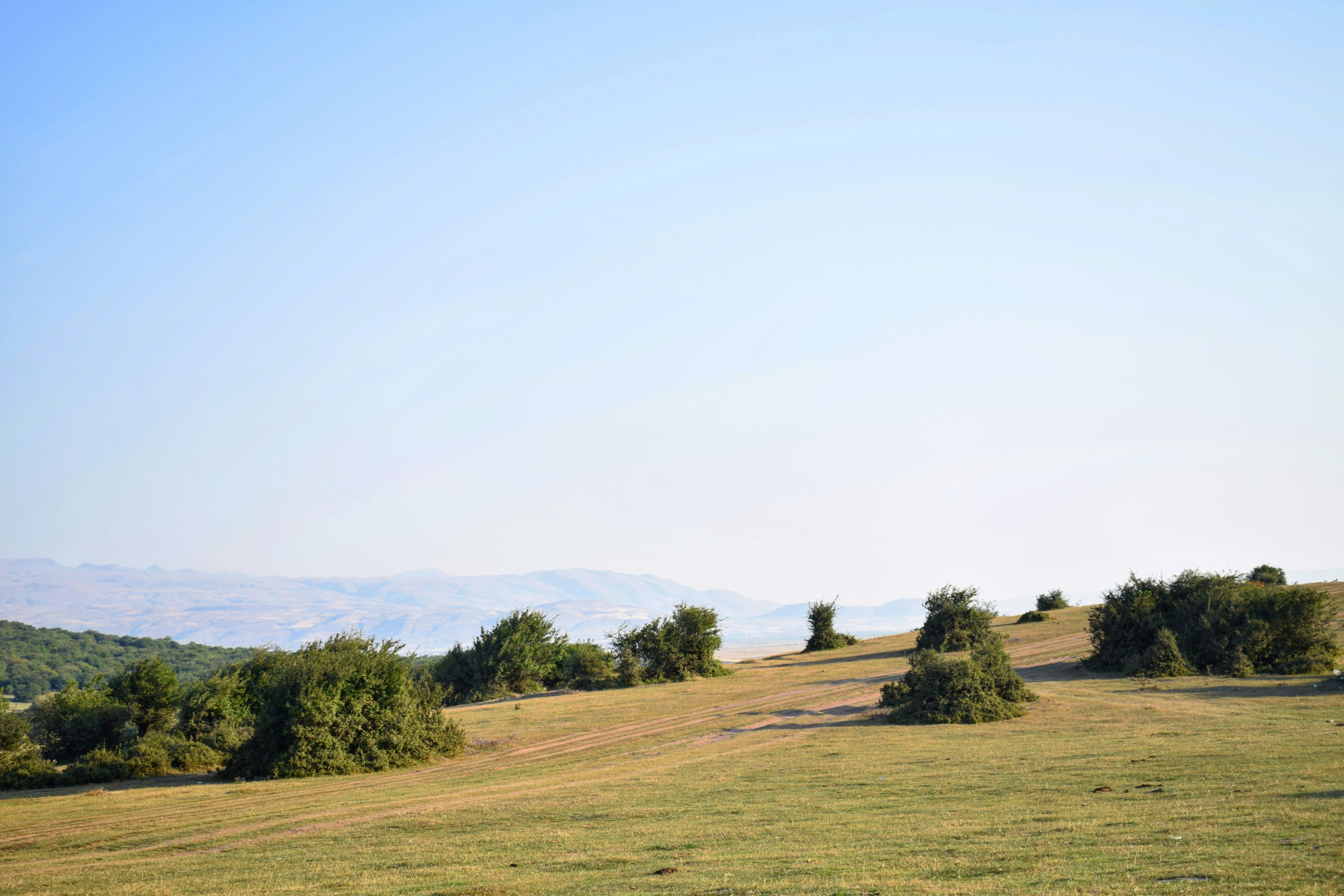 Photo by mahdikordi_ir