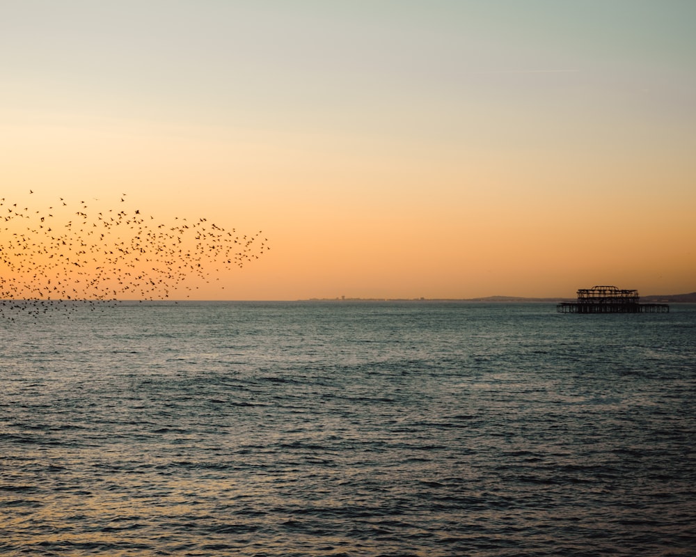 silhouette of boat on sea during sunset