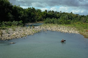 An intimate moment capturing a rider and horse crossing a crystal-clear stream surrounded by autumn foliage.