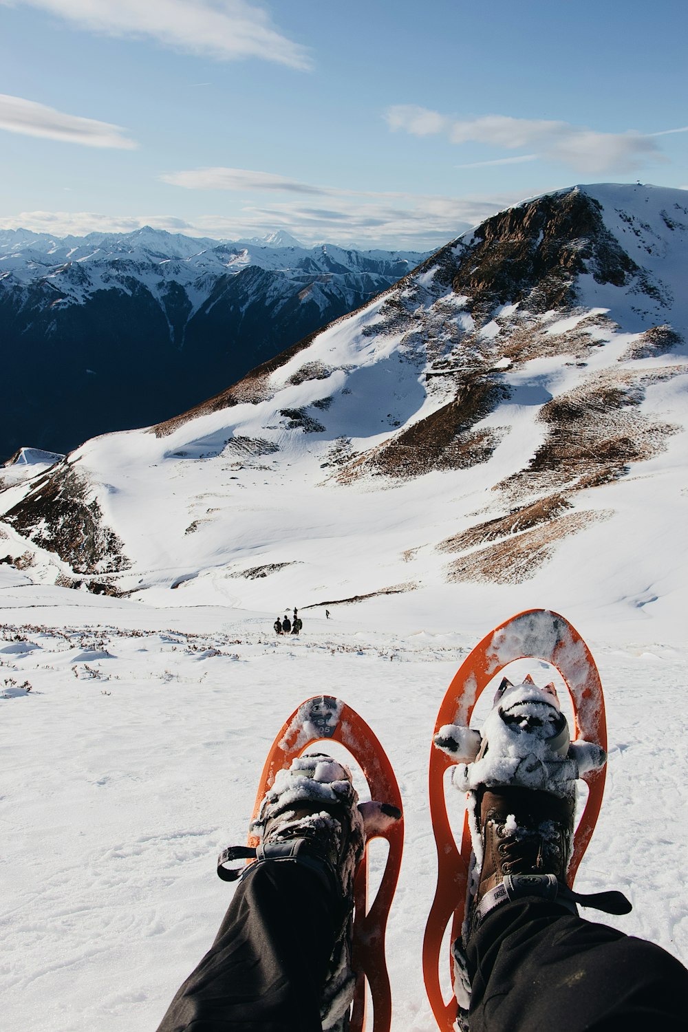 white and brown dog on snow covered mountain during daytime