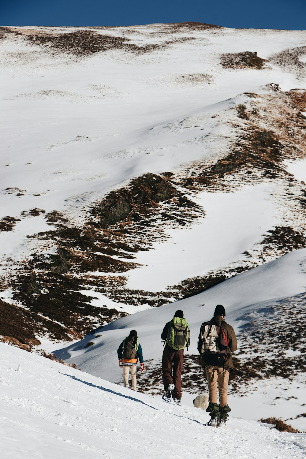 personnes faisant de la randonnée sur une montagne enneigée pendant la journée