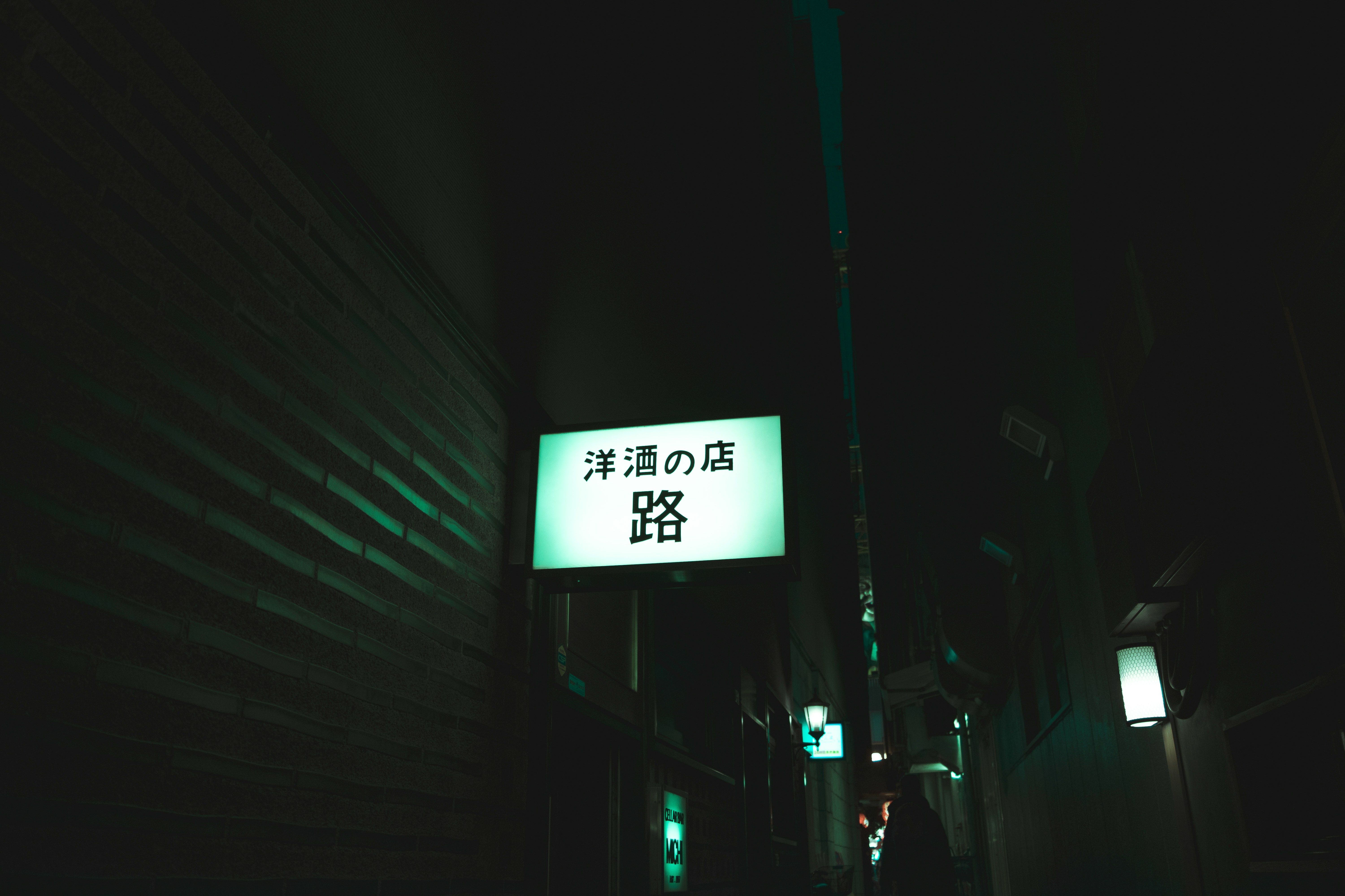 Lost in Translation: How the Sub vs. Dub War Is Splitting Anime Fandom in Half