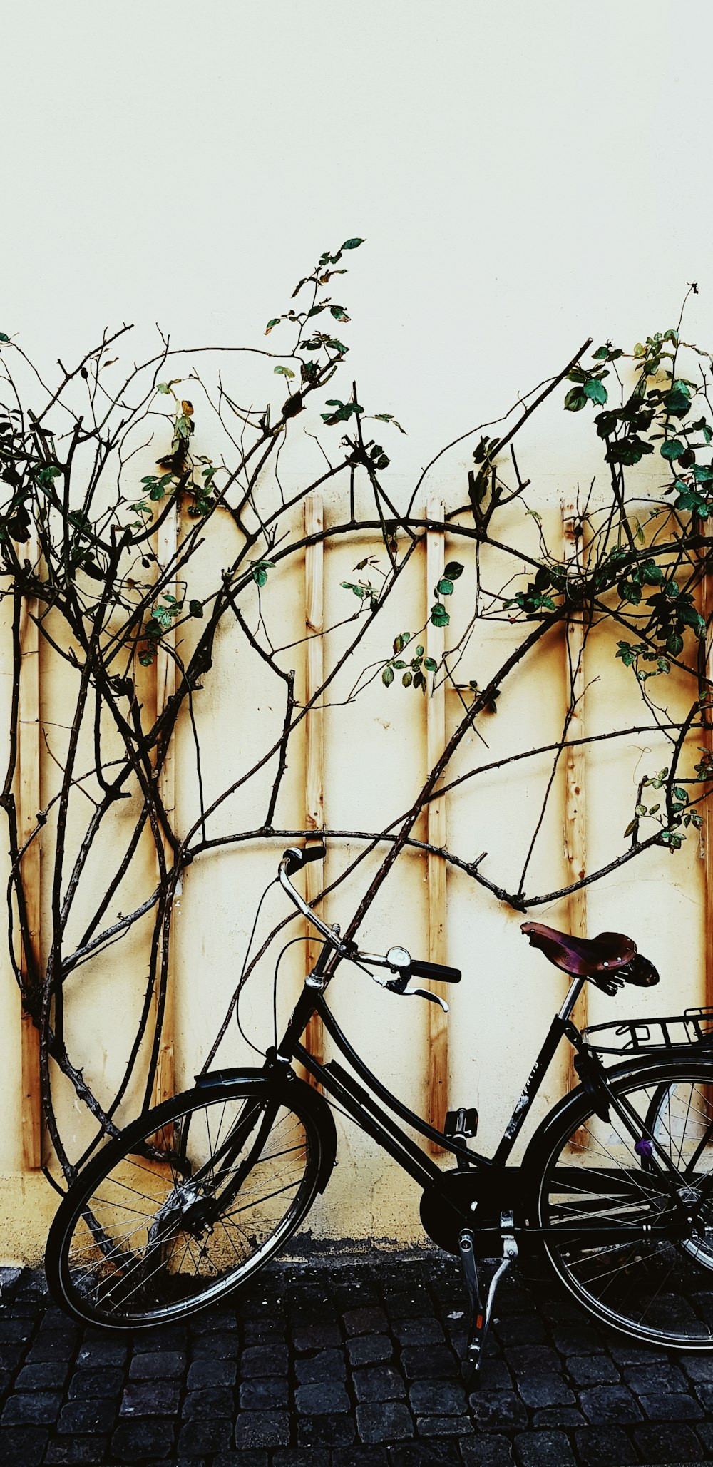 brown and black bicycle leaning on brown wall