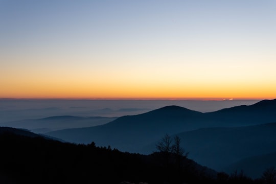 silhouette of trees and mountains during sunset in Ballon d'Alsace France