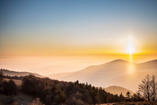 green trees and mountains during sunrise in Ballon d'Alsace France