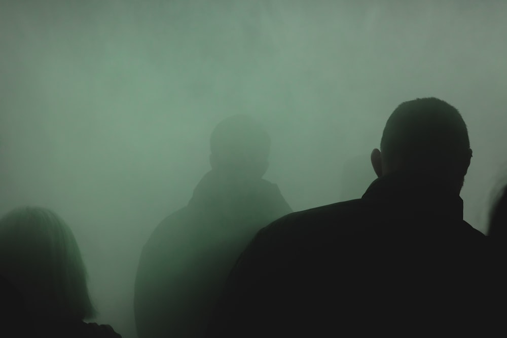 silhouette of 2 person standing on foggy forest