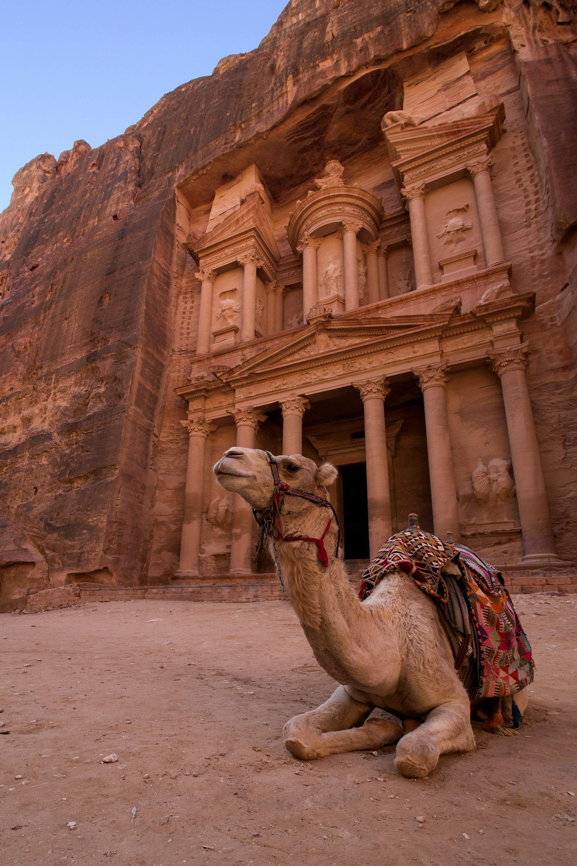 brown camel in front of brown rock formation during daytime