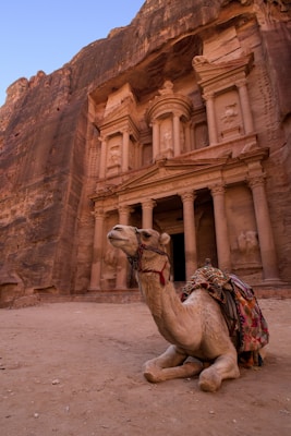 Jordan: Petra, Wadi Rum, and the Dead Sea