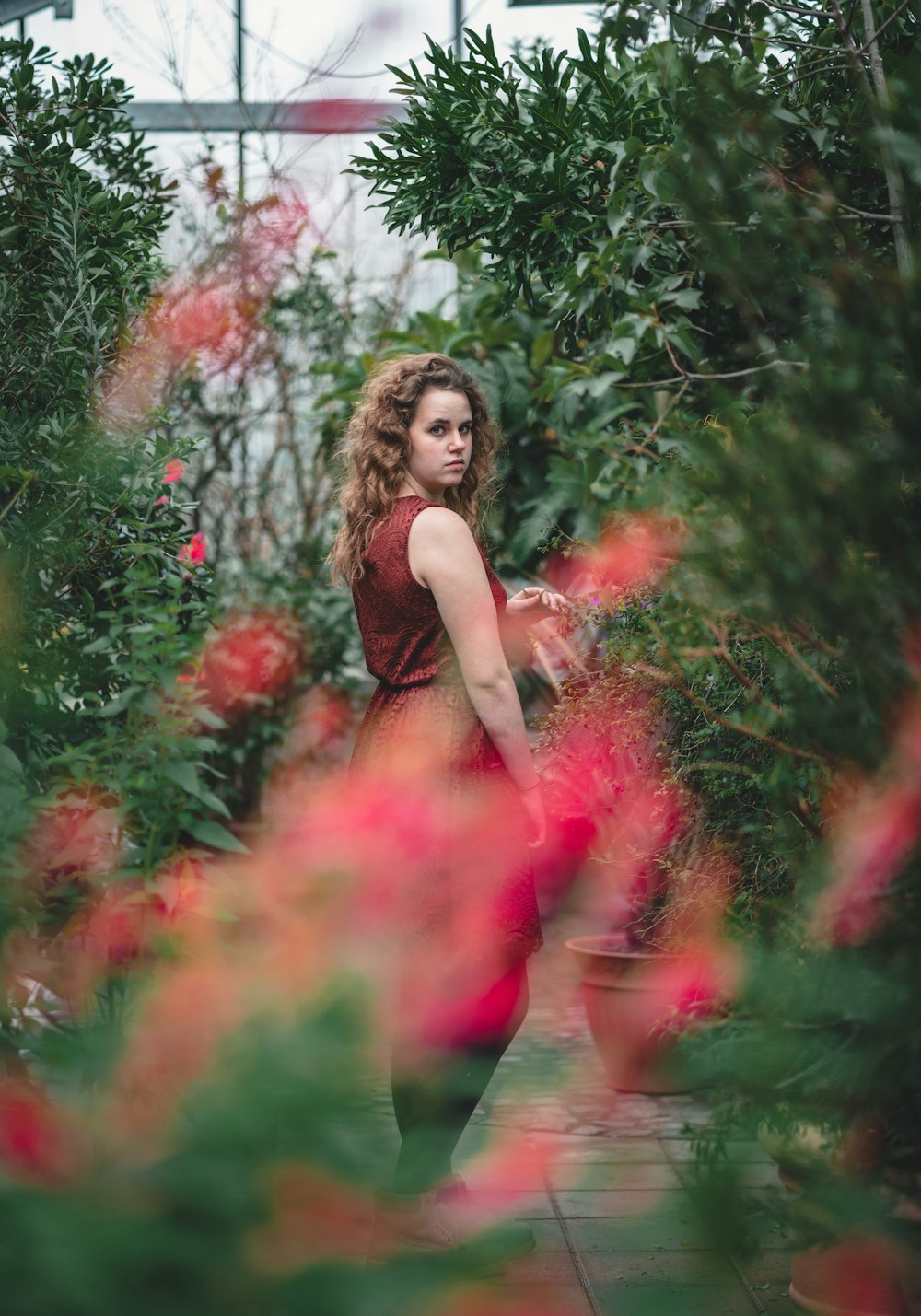 woman in brown dress standing on red flower field during daytime