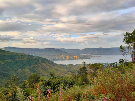 green mountain near body of water under cloudy sky during daytime in Mahabaleshwar India