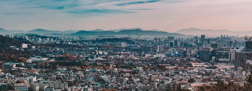 aerial view of city buildings during daytime