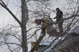 Two individuals are using a cherry picker to cut branches of a tall tree. Snow covers the tree branches and the ground, indicating a winter setting. The sky is overcast, and the individuals are wearing winter clothing.