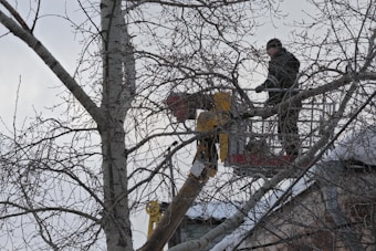 Two individuals are using a cherry picker to cut branches of a tall tree. Snow covers the tree branches and the ground, indicating a winter setting. The sky is overcast, and the individuals are wearing winter clothing.