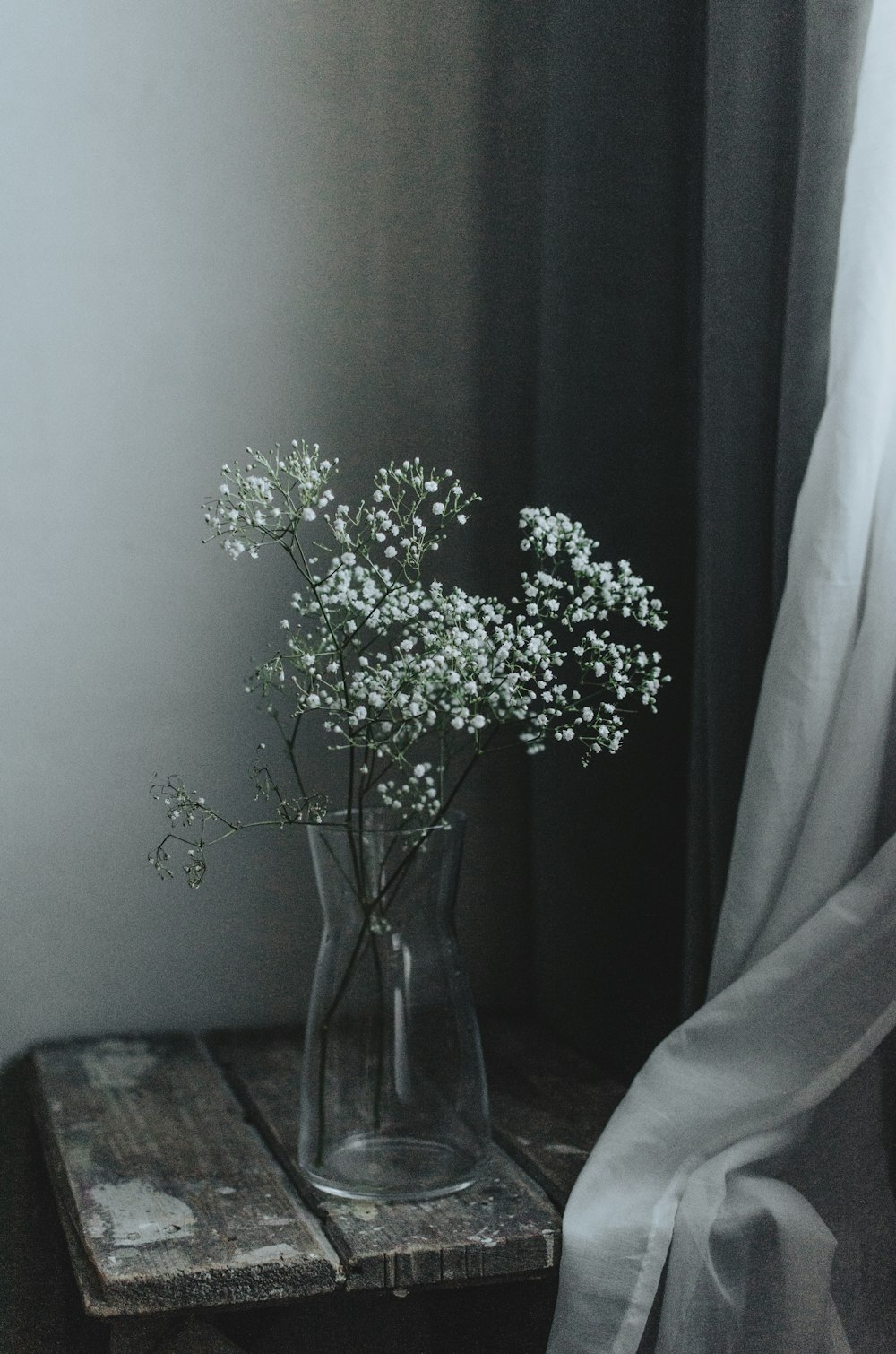 green plant in clear glass vase