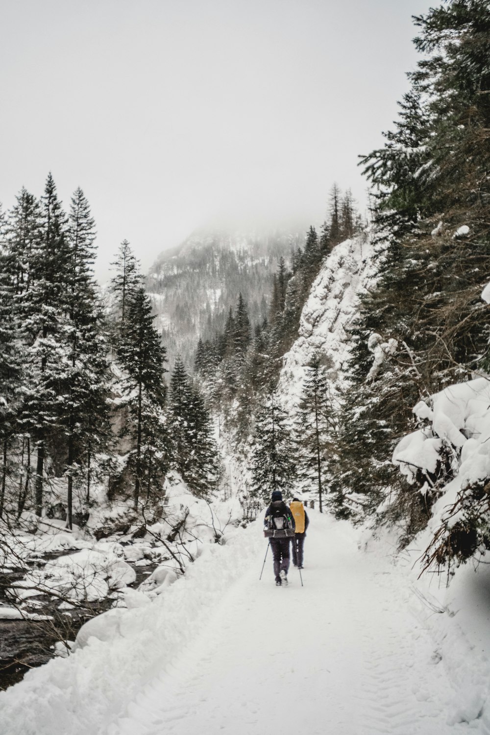 person in red jacket and black pants walking on snow covered ground during daytime