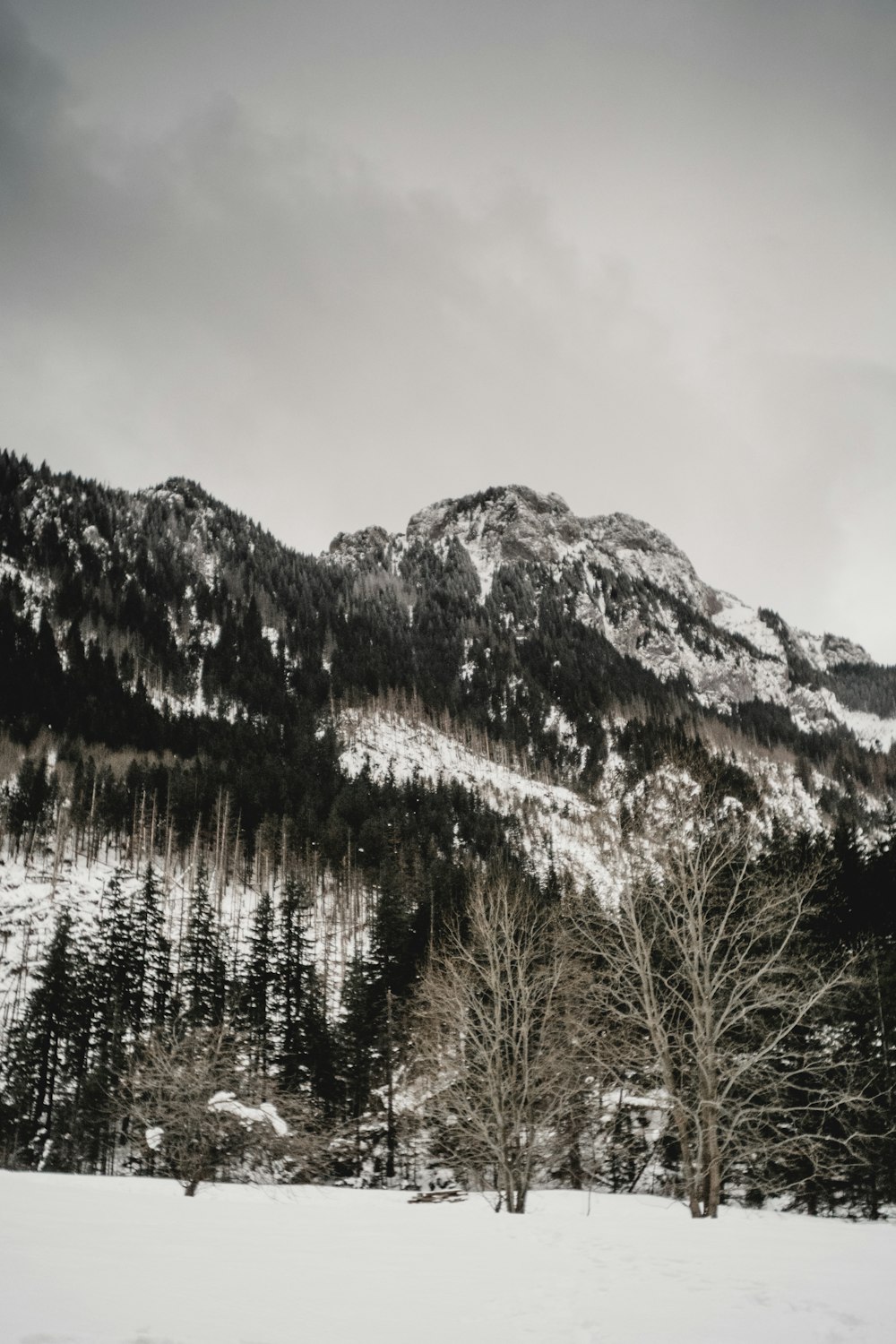 snow covered mountain near body of water during daytime