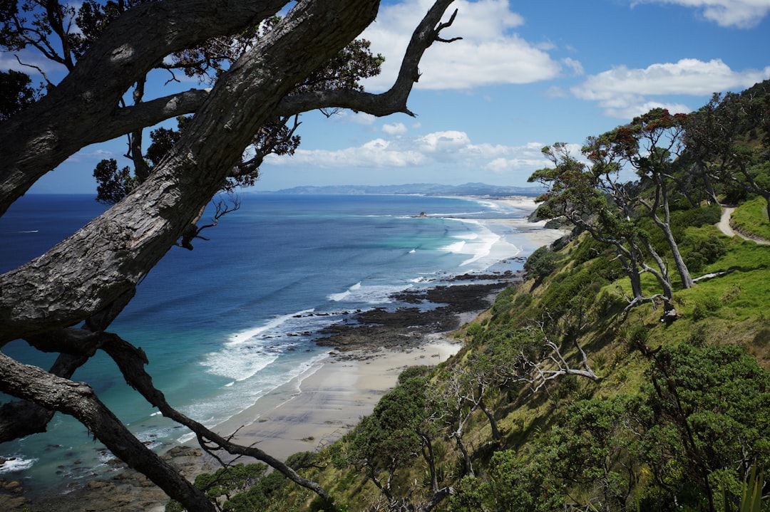 Shore photo spot Mangawhai Heads Te Arai Beach