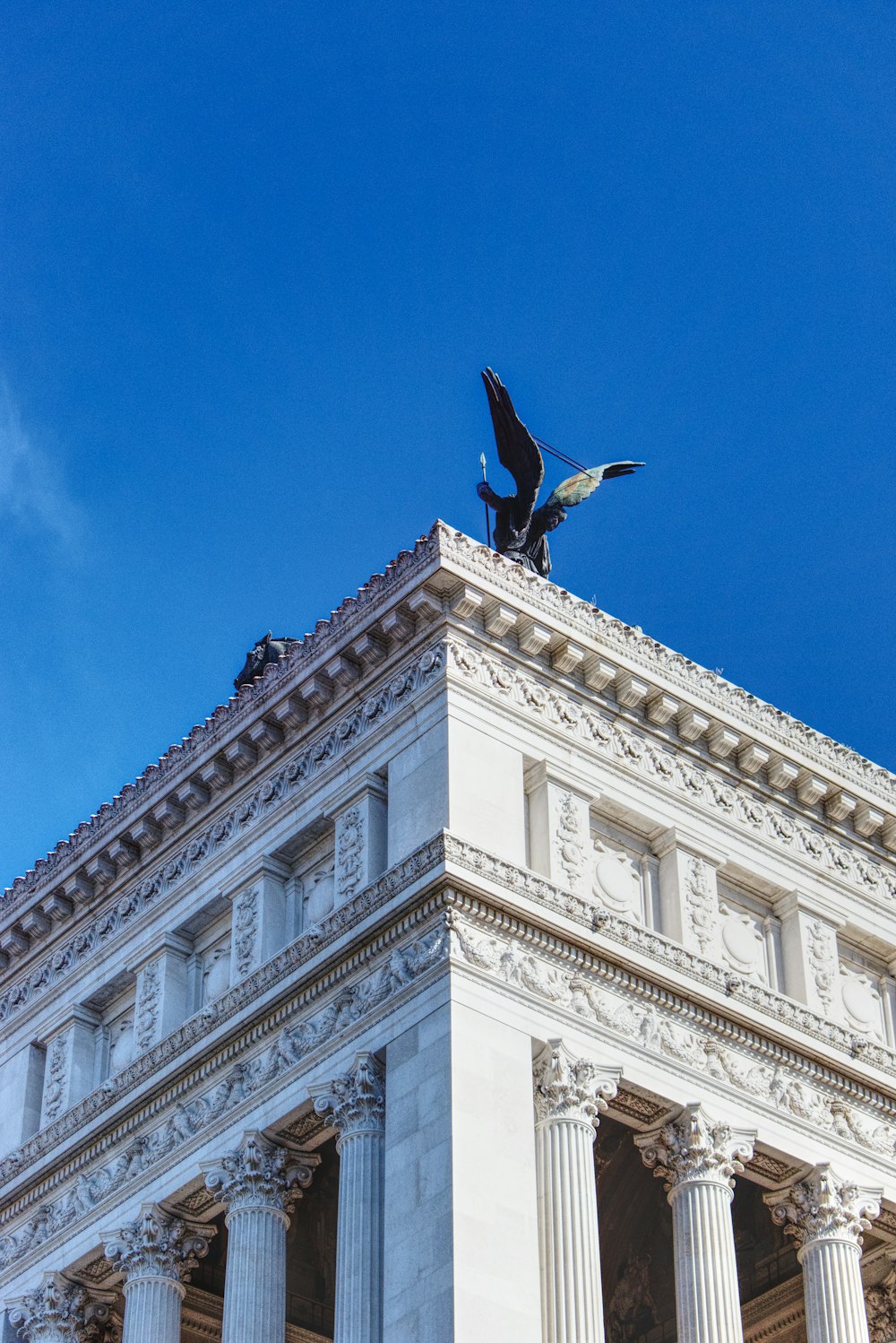 昼間、白いコンクリートの建物の上を飛ぶ黒い鳥