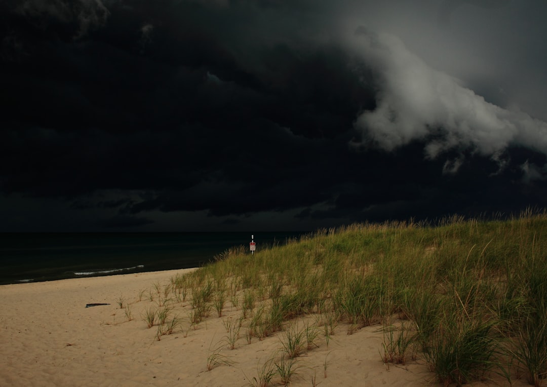 green grass on brown sand near sea under gray clouds during daytime