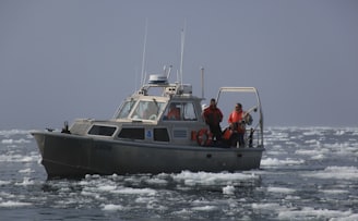 white and blue boat on sea during daytime